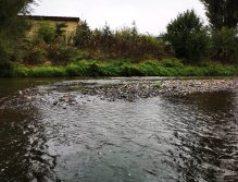 Litavka above the confluence with Berounka