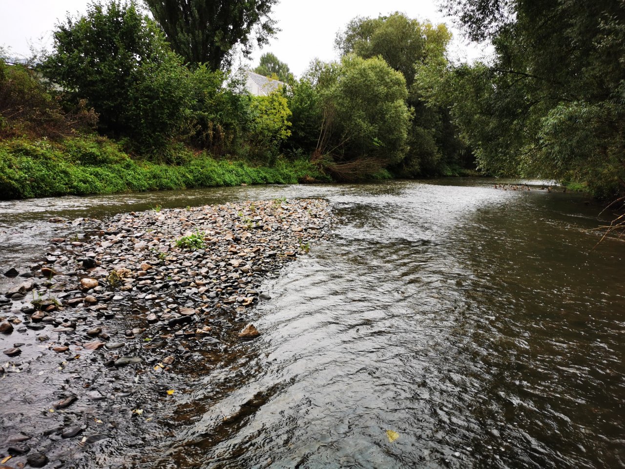 Litavka above the confluence with Berounka