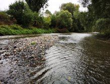Litavka above the confluence with Berounka