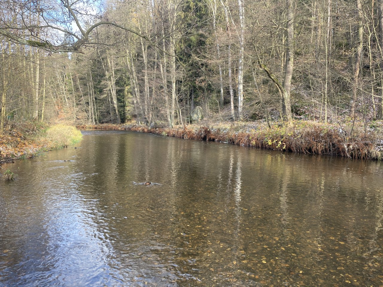 Svatava near the gardening colony in Svatava