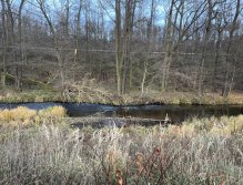 Svatava under the sewage treatment plant in Svatava