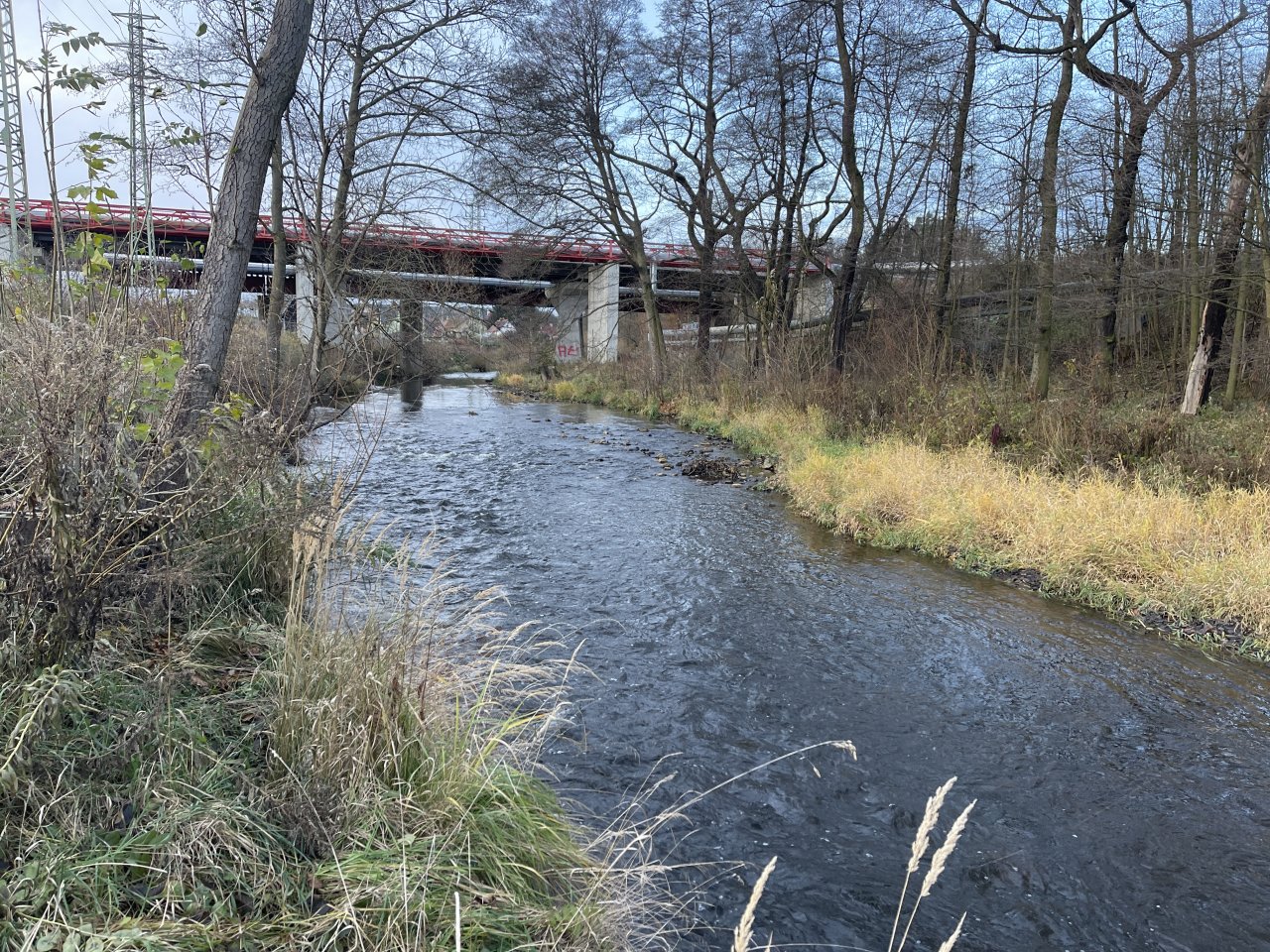 Svatava under the sewage treatment plant in Svatava
