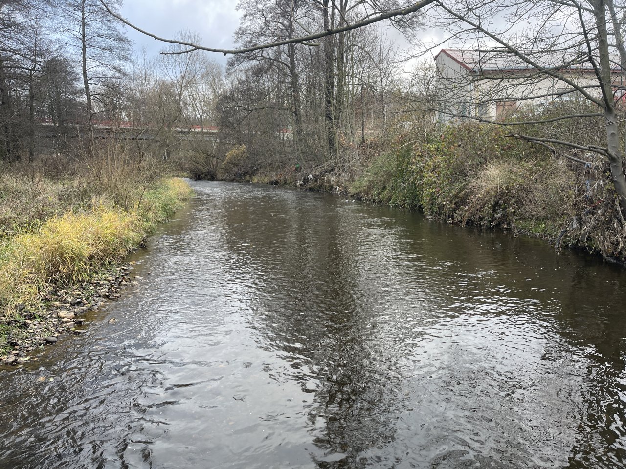 Svatava under the sewage treatment plant in Svatava
