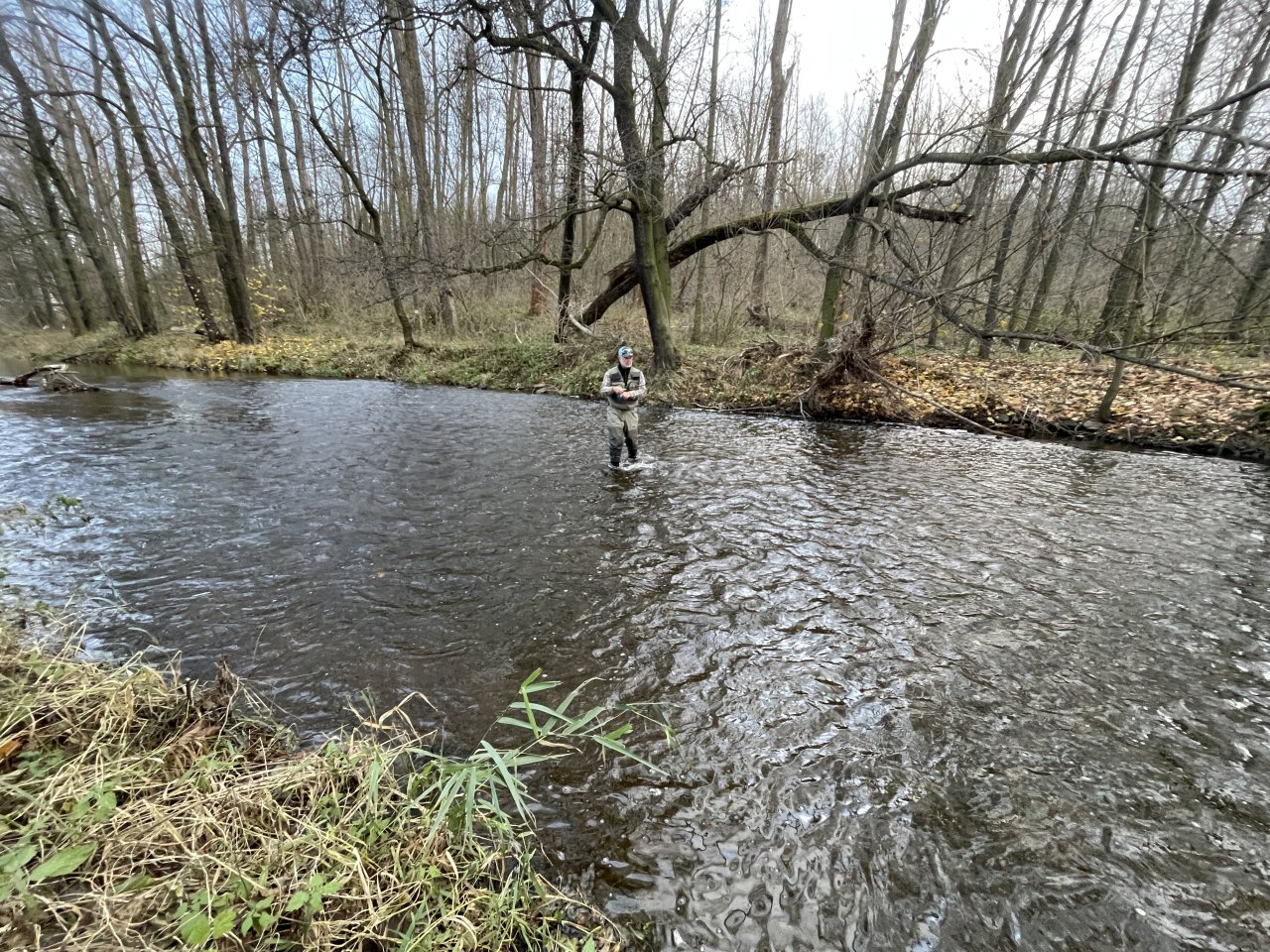 Svatava under the sewage treatment plant in Svatava