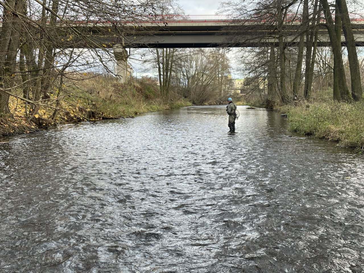 Svatava under the sewage treatment plant in Svatava