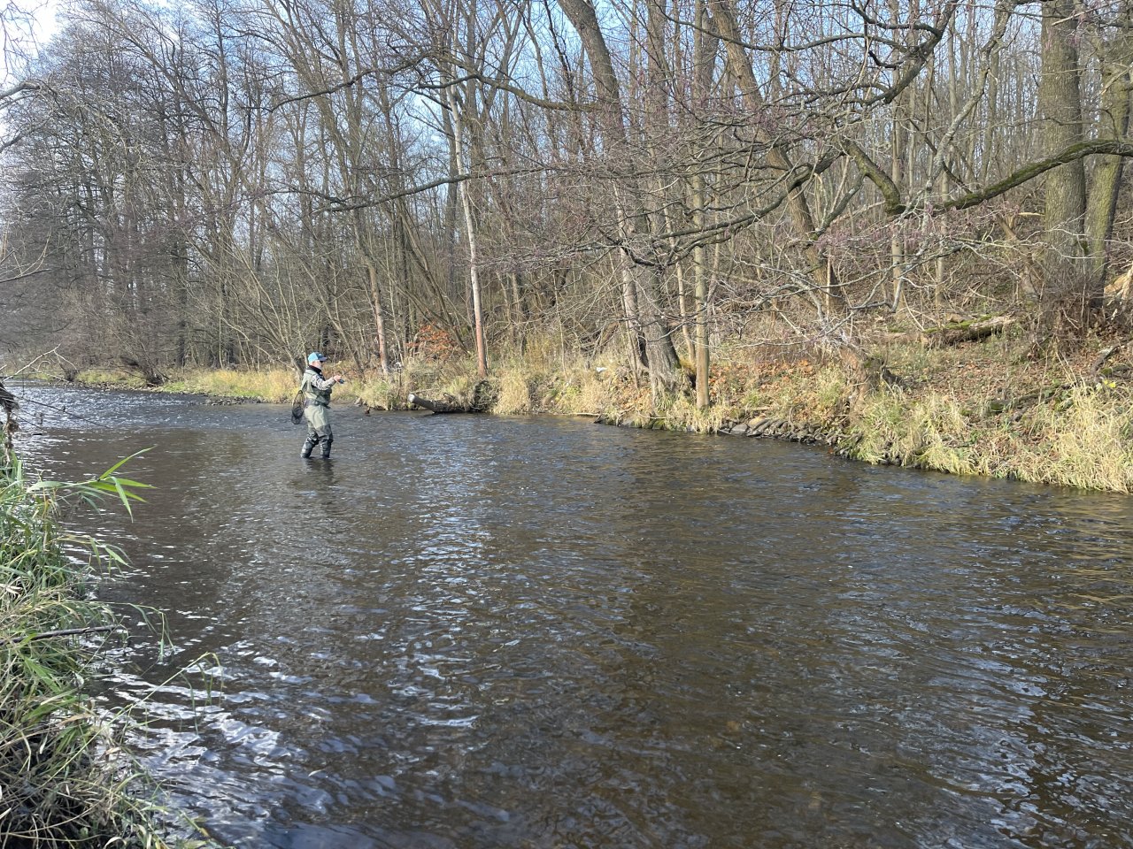 Svatava under the sewage treatment plant in Svatava