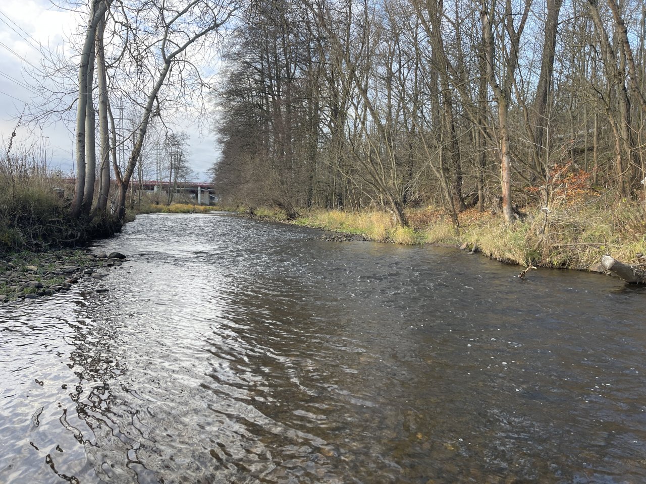 Svatava under the sewage treatment plant in Svatava