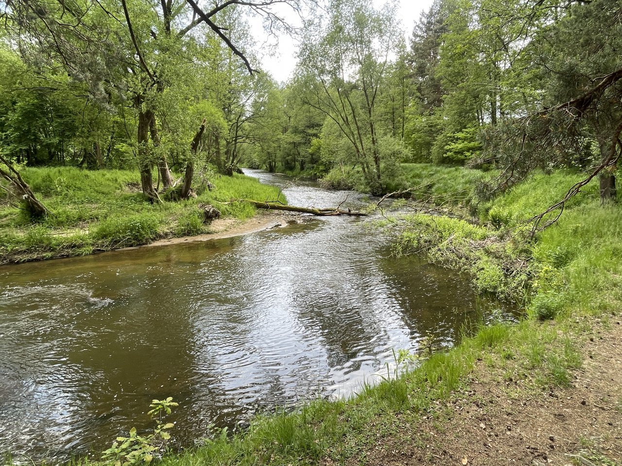 Mal�e near Kaplice