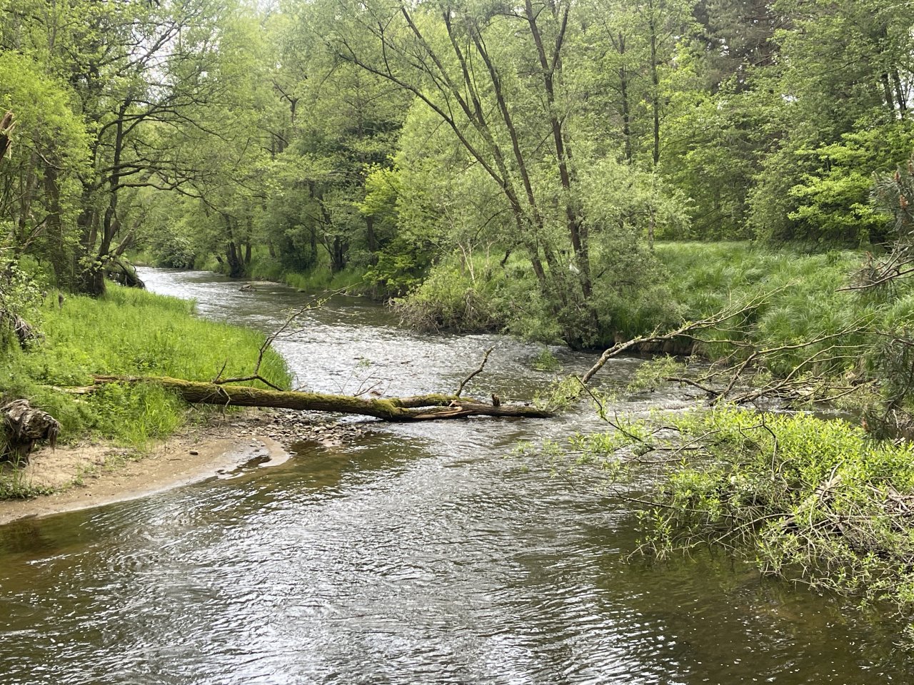 Mal�e near Kaplice