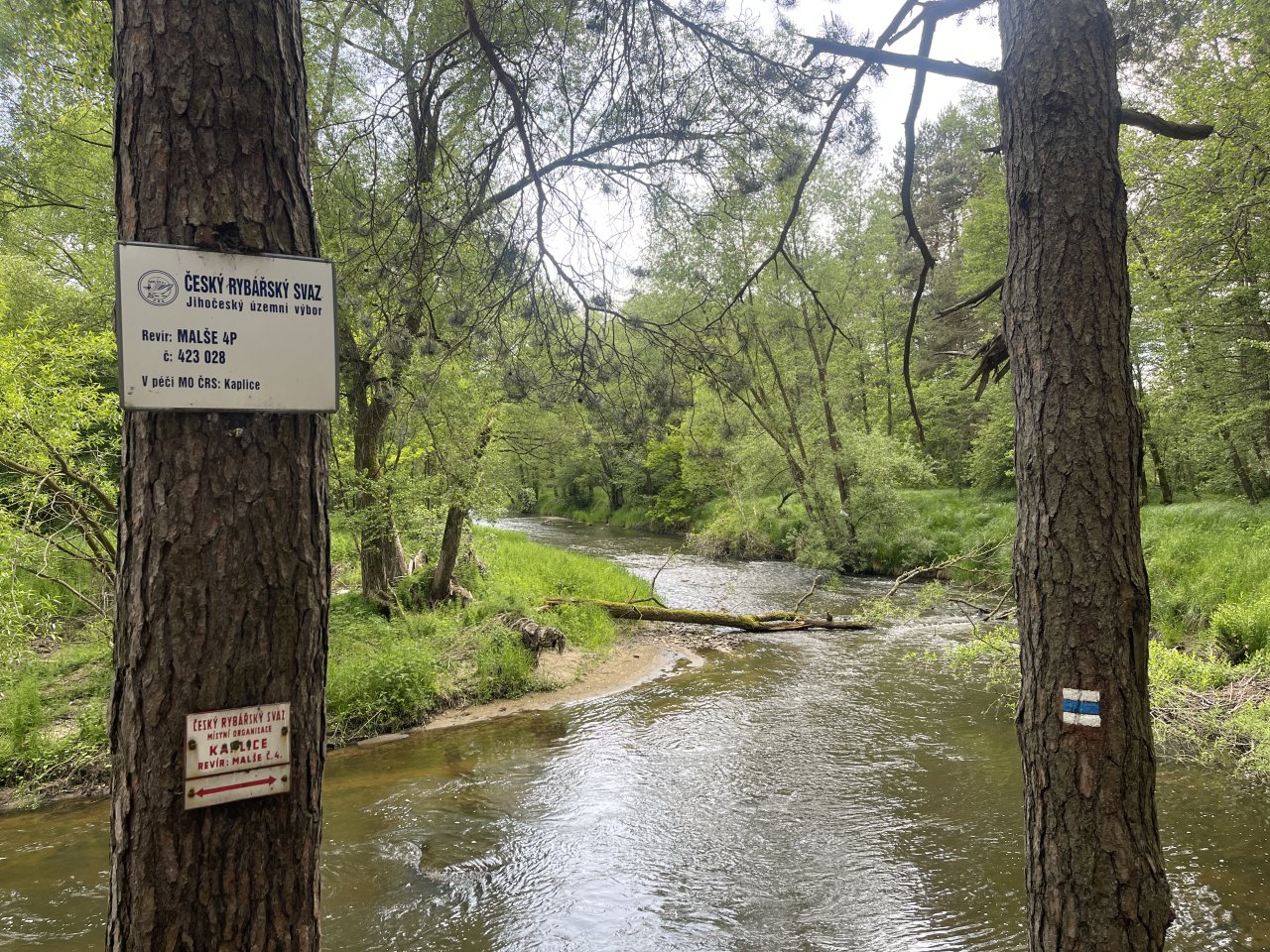 Mal�e near Kaplice