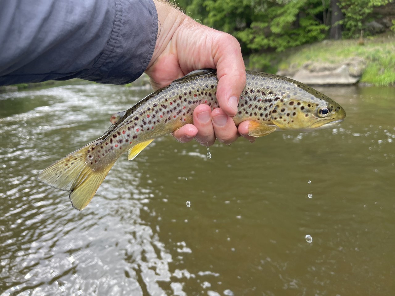 Mal�e near Kaplice