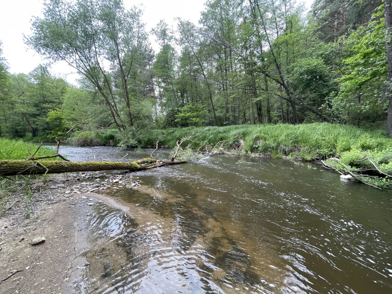 Mal�e near Kaplice