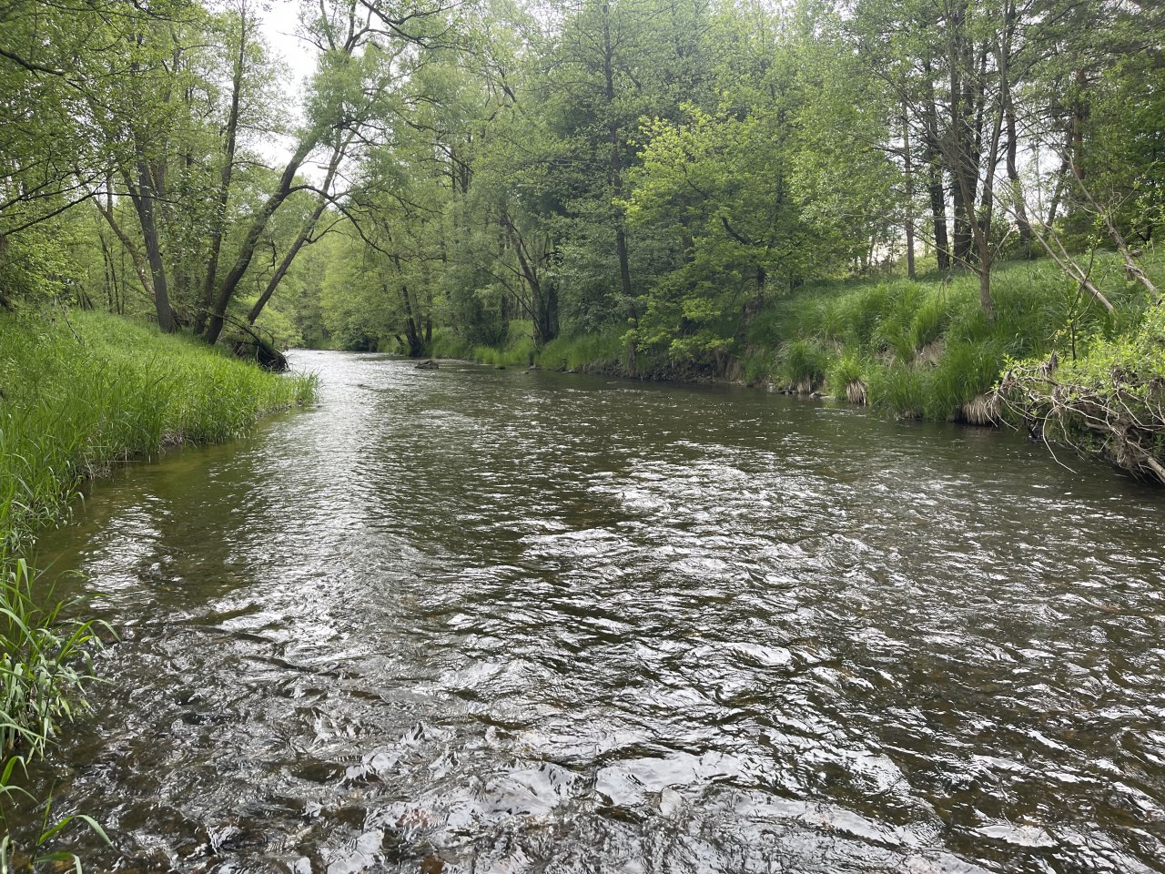 Mal�e near Kaplice