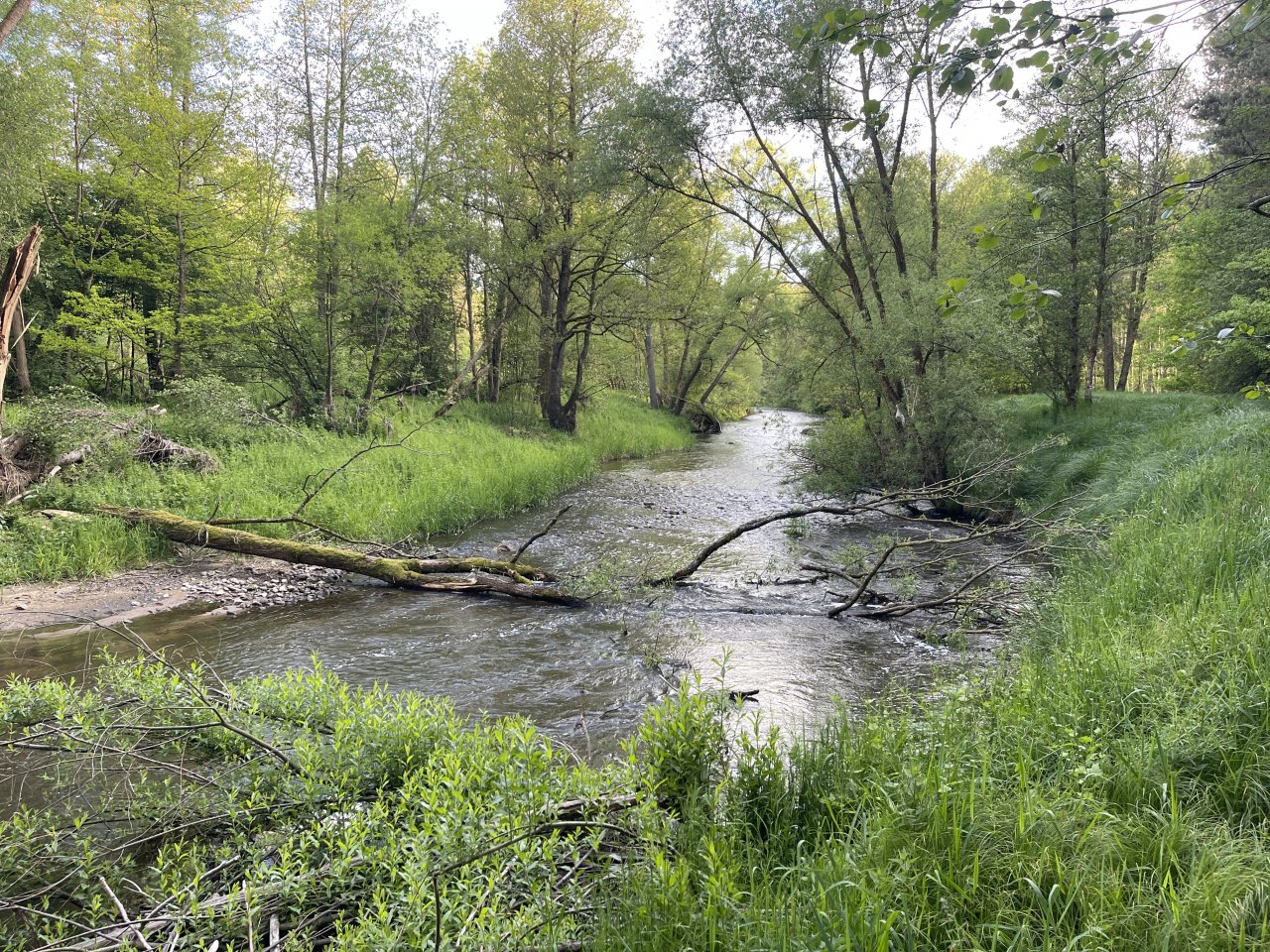 Mal�e near Kaplice