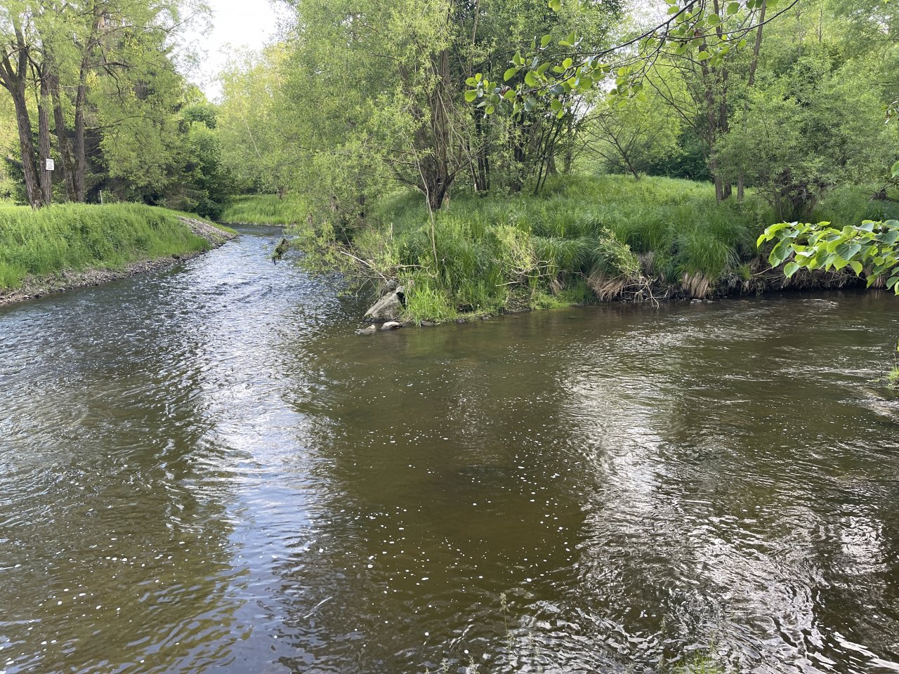 Mal�e near Kaplice