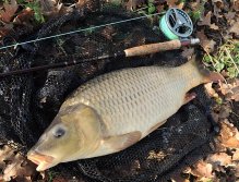 A nice pre-Christmas carp from a blind river arm. Such an unexpected catch in the middle of December will make you really happy!