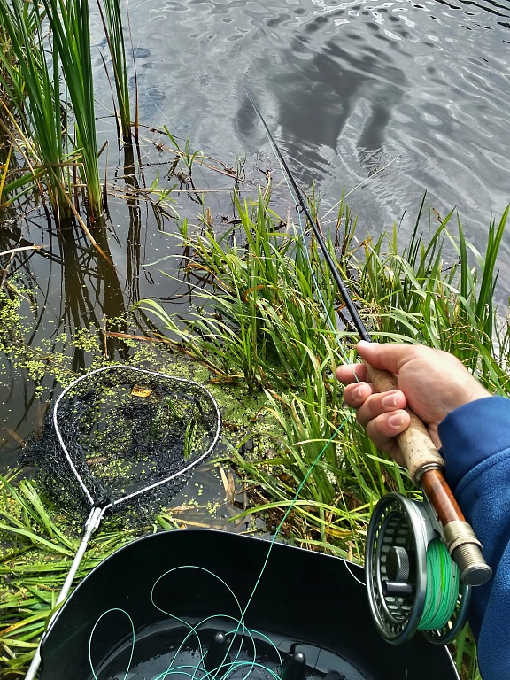 My favorite sight in the concentrated stillwater fishing for moody rainbow trout - waiting for the coveted pull of the line, wild fighting and subsequent neting for a nice fish!