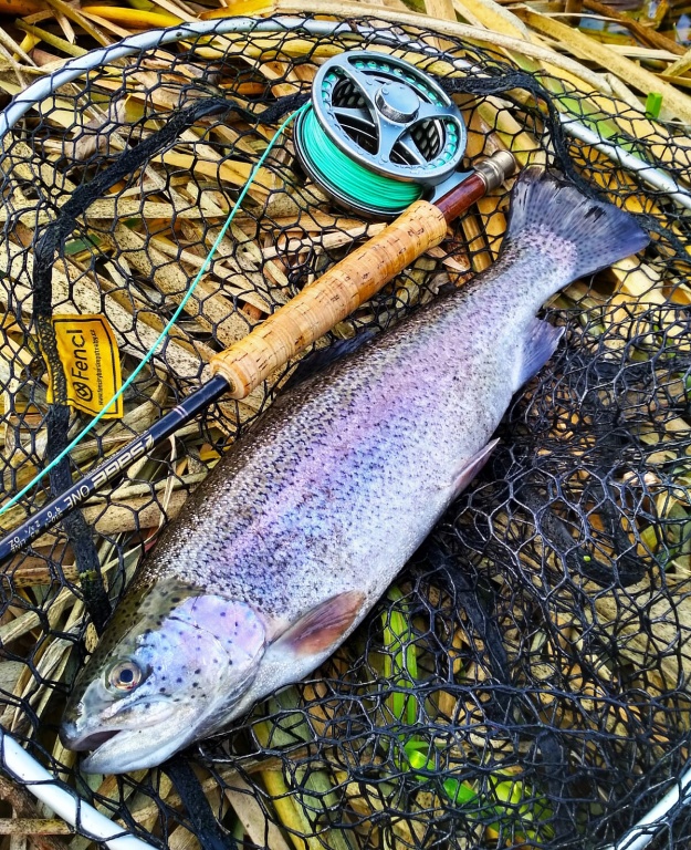 And this beautifully colored rainbow, which already lies safely in the gentle rubberized net of my favorite folding stillwater landing net Fencl, clearly confirms this!
