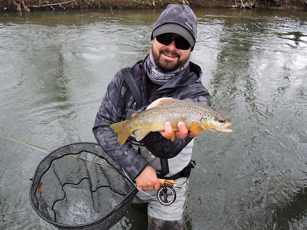 The beautiful river brownie from the trout season opening day is cooperating in a quick photo shoot before it's release! Fly Fishing Landing Net With Magnet Fencl King 2 Nature L is a completely universal and reliable river trout landing net!