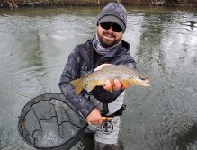 The beautiful river brownie from the trout season opening day is cooperating in a quick photo shoot before it's release! Fly Fishing Landing Net With Magnet Fencl King 2 Nature L is a completely universal and reliable river trout landing net!