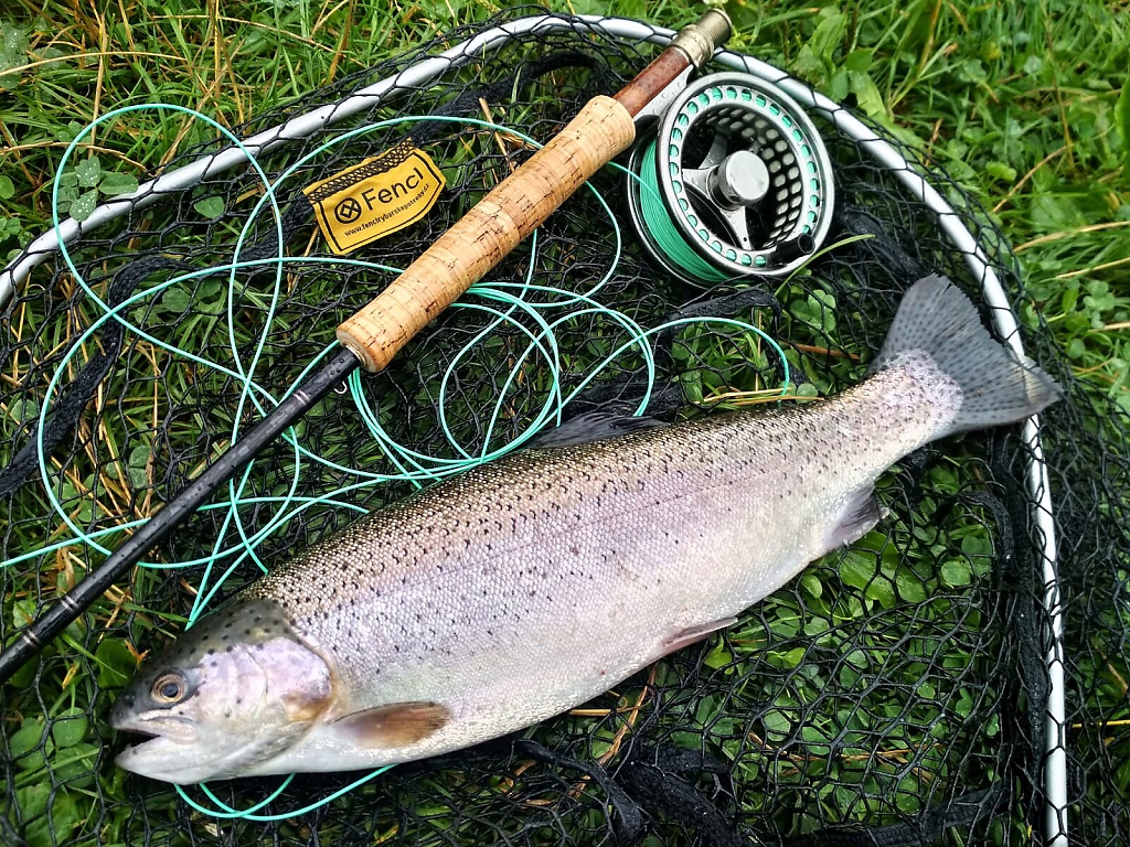 Classic traditional still life in the style of Fish & Gear, this time with a nicely grown stillwater rainbow trout!