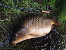 To net and handle such a large carp, you need a quality and maximally reliable landing net with a solid frame, a longer handle, a deep and rubberized net, which will be as gentle as possible for a large fish!
