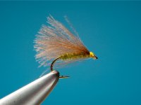 Fly Tying F-Fly