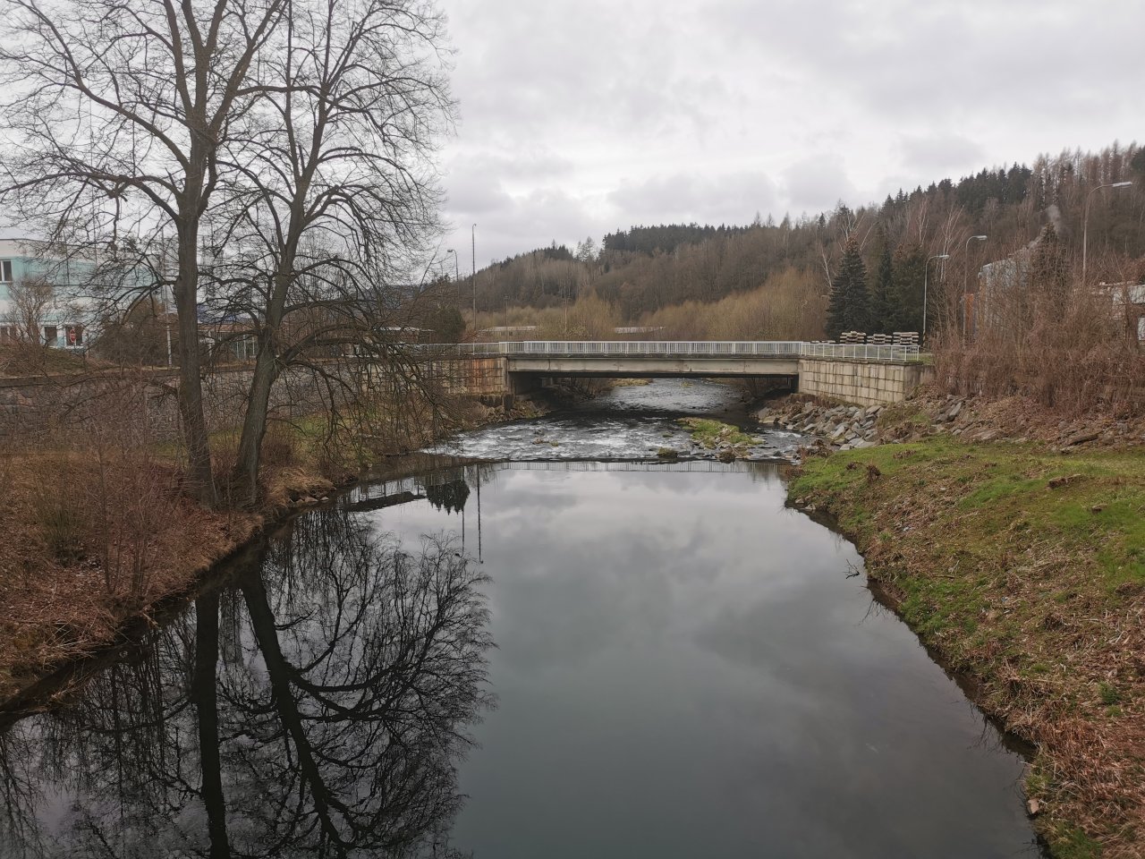 Trout season opening 2021