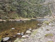 Trout season opening 2021