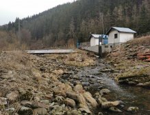 Trout season opening 2021