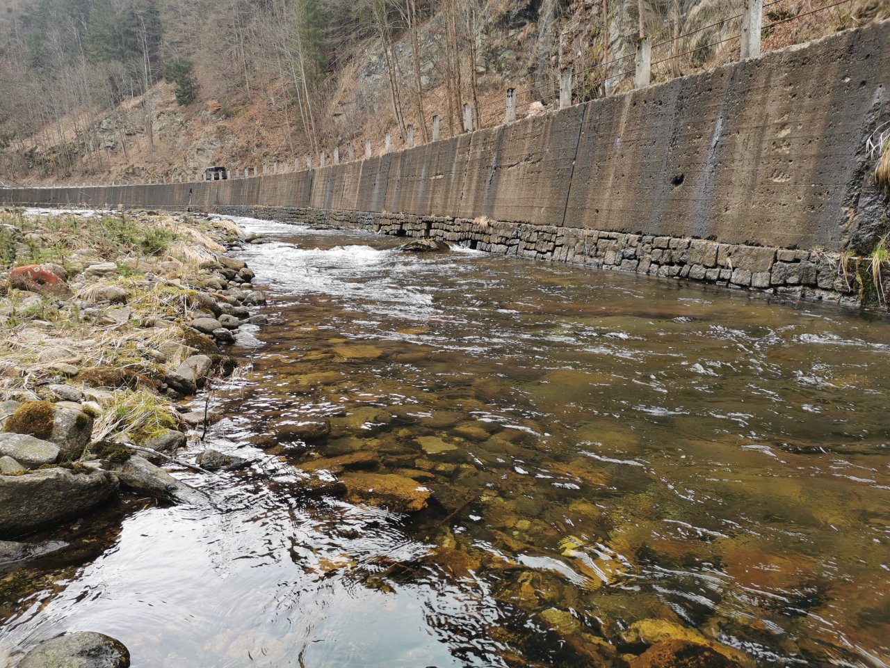 Trout season opening 2021