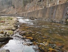 Trout season opening 2021