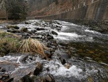 Trout season opening 2021