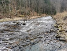 Trout season opening 2021