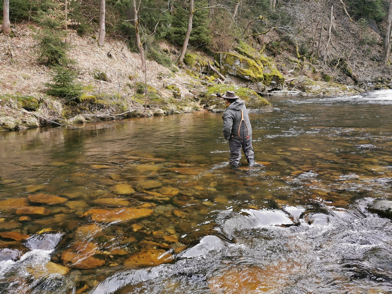 Trout season opening 2021