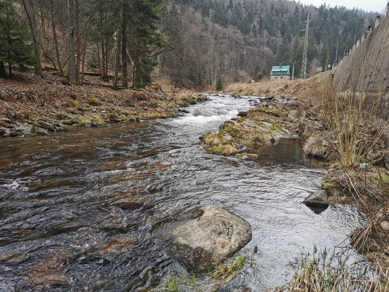 Trout season opening 2021