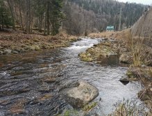 Trout season opening 2021