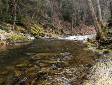 Trout season opening 2021