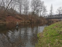 Trout season opening 2021