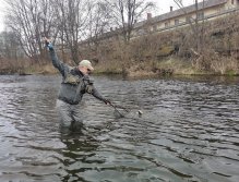Trout season opening 2021