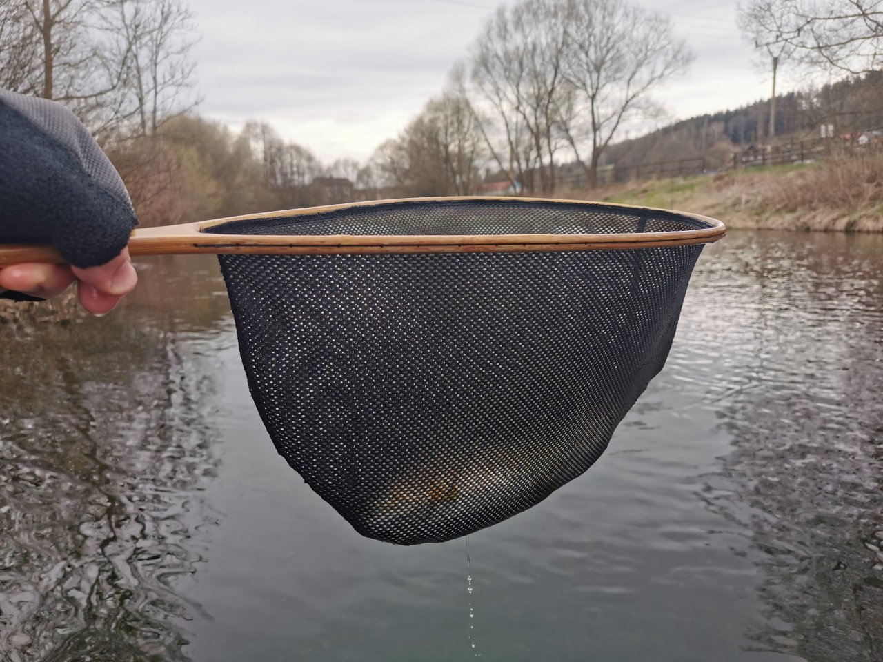 Trout season opening 2021