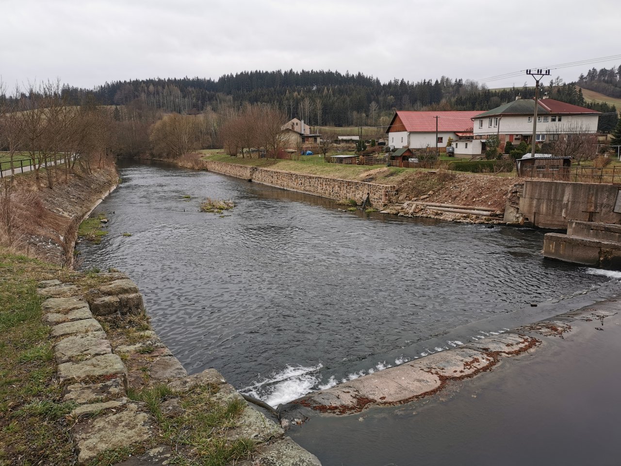 Trout season opening 2021