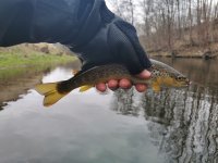 Trout Season Opening 2021