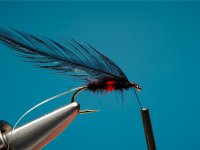 Fly Tying Bibio