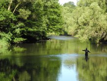 Dyje below Vranov nad Dyjí
