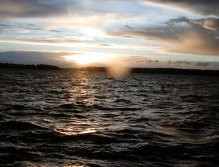 Evening at Rutland Water
