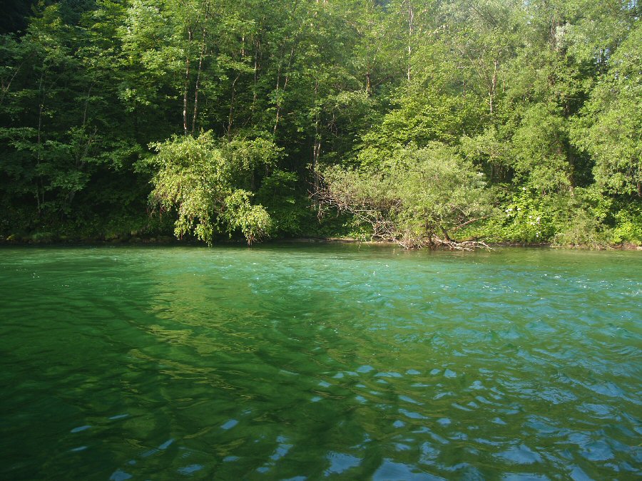 Deep pool at Sava Bohinjka