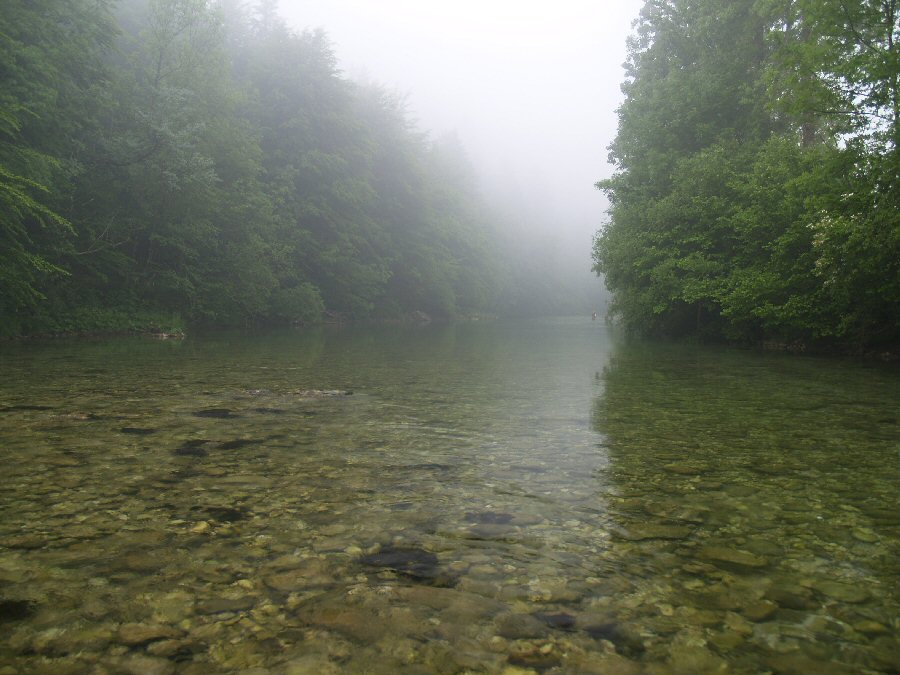 Sava Bohinjka - misty morning