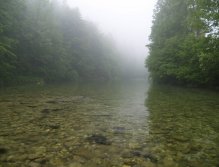 Sava Bohinjka - misty morning