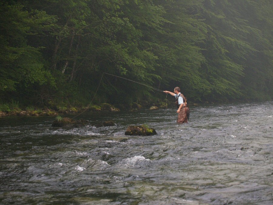 Sava Bohinjka fishing in the misty morning